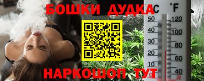индика Анжеро-Судженск