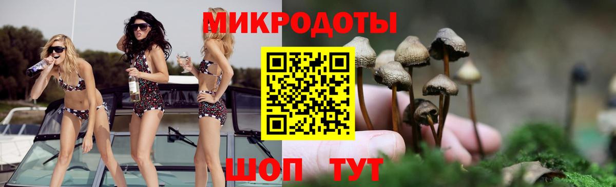 Псилоцибиновые грибы GOLDEN TEACHER Великий Новгород